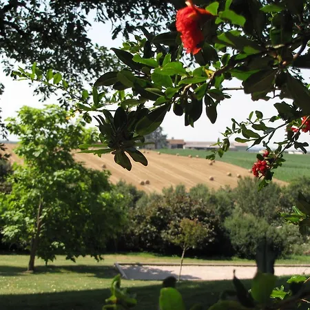 Domaine De La Borie Neuve Bellegarde-Marsal